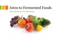 Fermentation 101.pdf